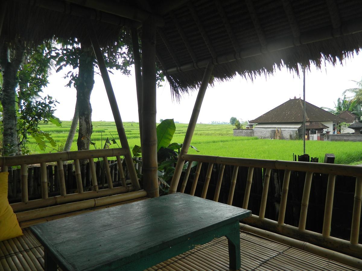 D'Tegale Homestay Cepaka 외부 사진